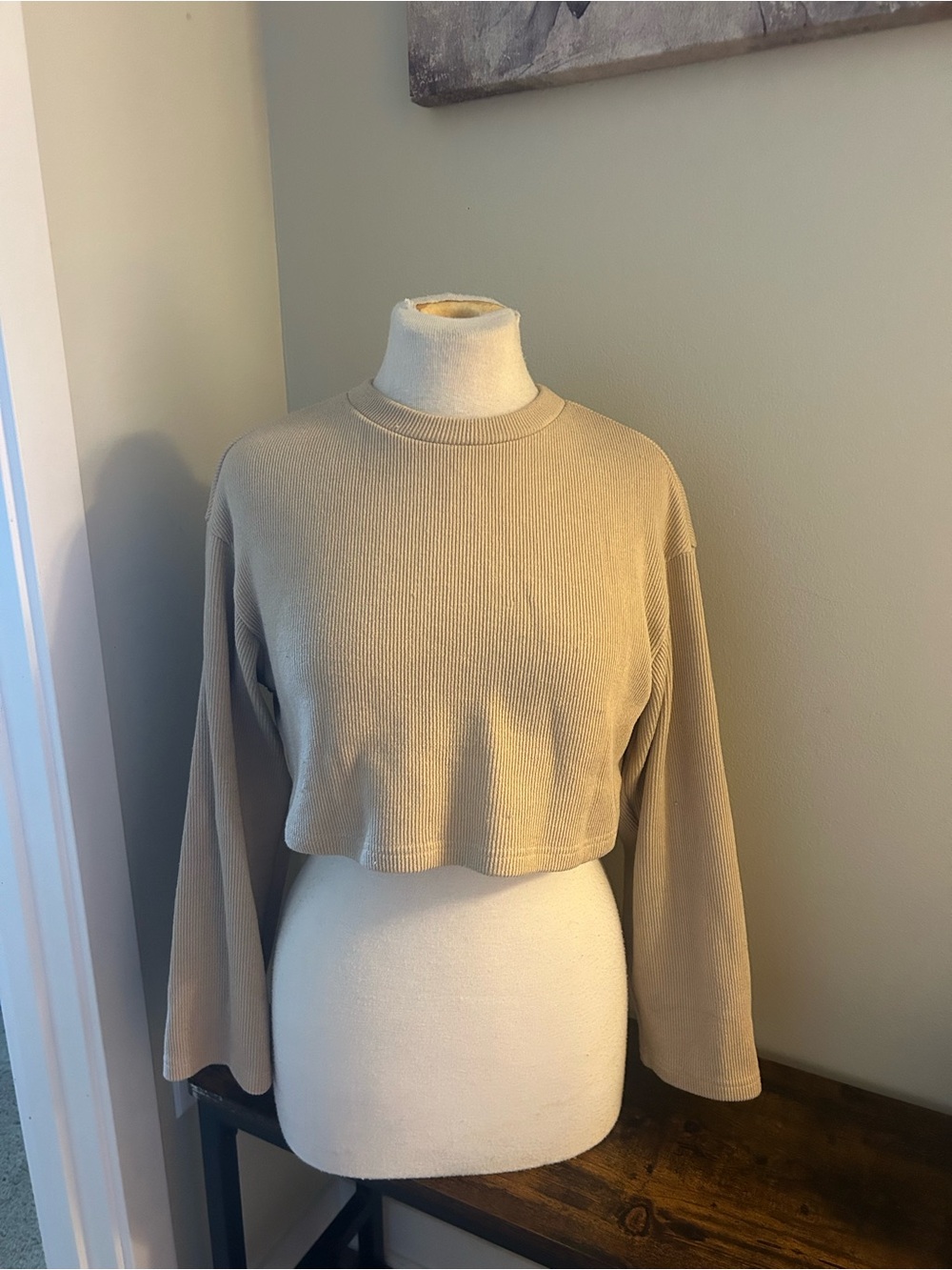 Cropped Long-Sleeve Ribbed Top in Beige